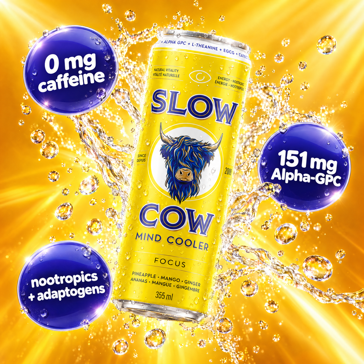 Slow Cow Focus benefits