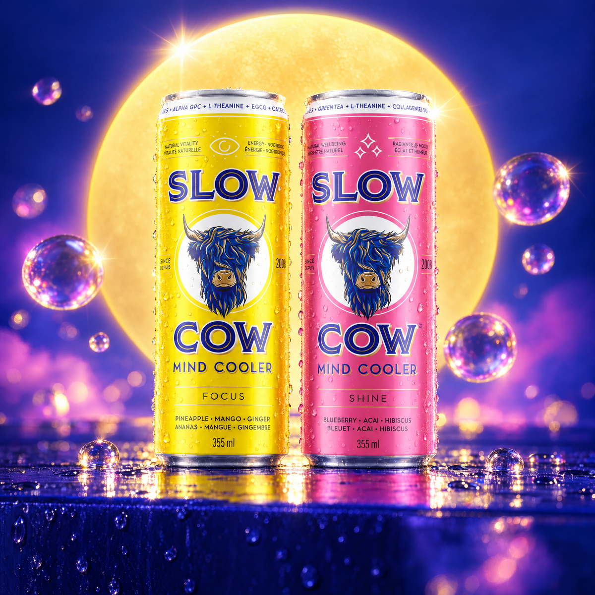 Slow Cow Focus and Shine
