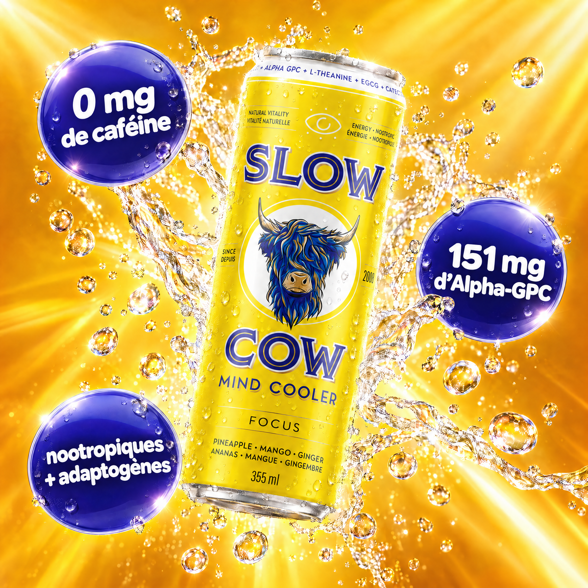 Slow Cow Focus — ce qu’il y a dedans