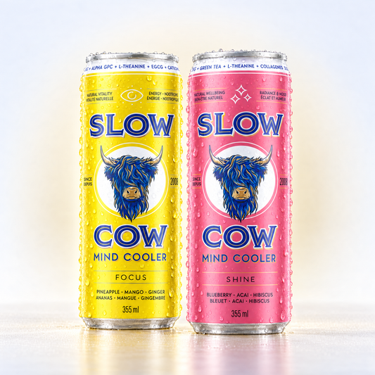 Slow Cow Mind Cooler Focus and Shine cans